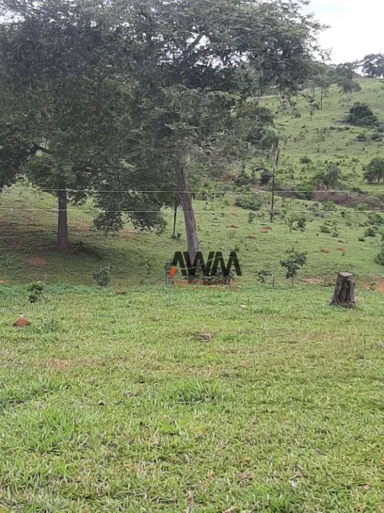 Fazenda, 489 hectares - Foto 7