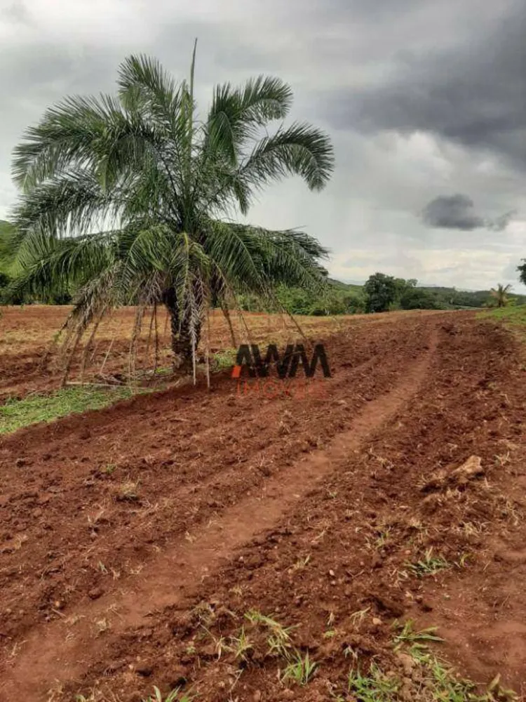 Fazenda, 489 hectares - Foto 4