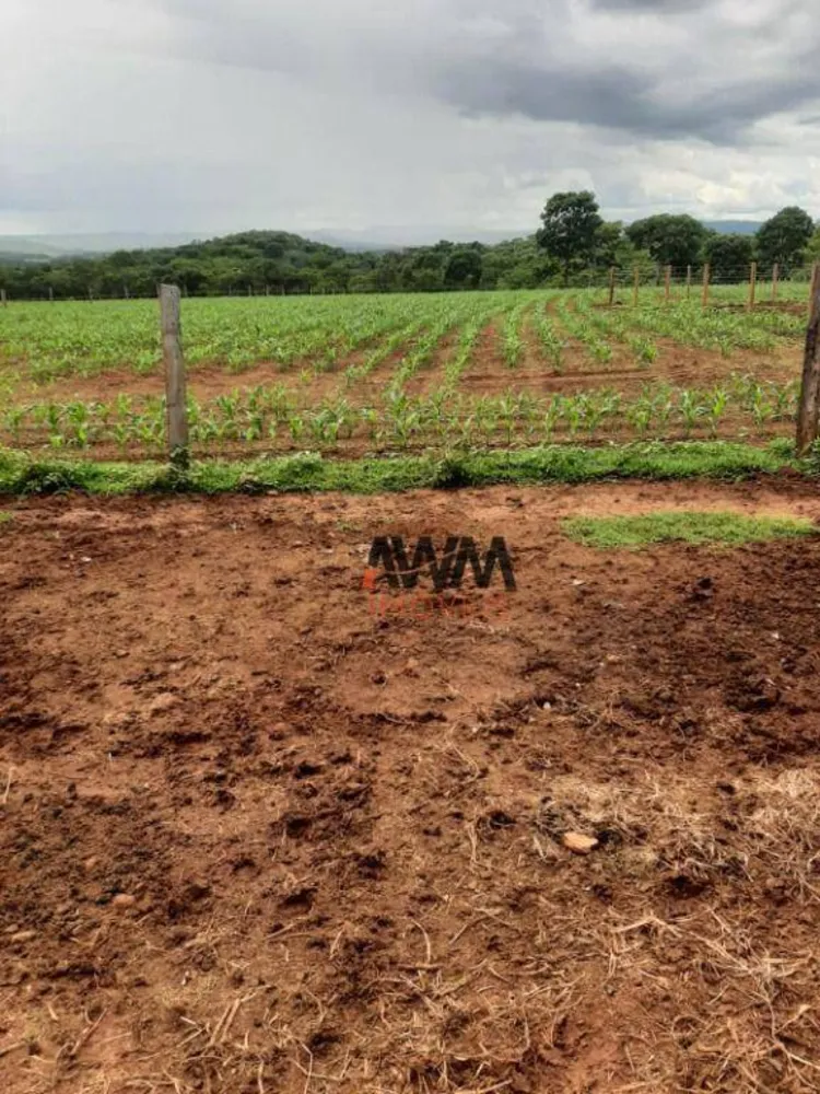 Fazenda, 489 hectares - Foto 2