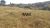Fazenda-Sítio-Chácara, 136 hectares - Foto 3