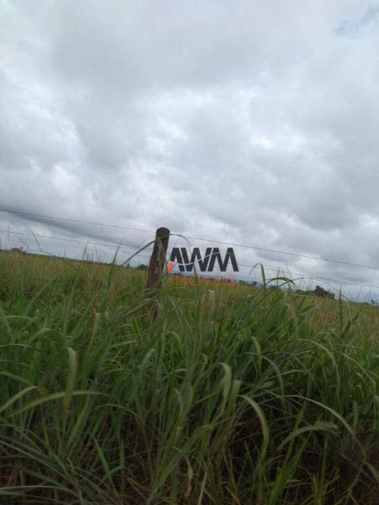 Fazenda à venda, 256920000M2 - Foto 12