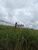 Fazenda-Sítio-Chácara, 25692 hectares - Foto 12