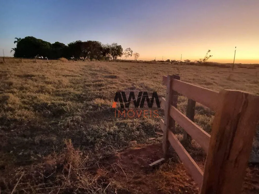 Fazenda, 125 hectares - Foto 7