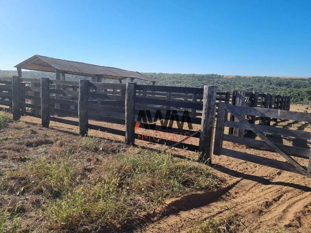 Fazenda, 125 hectares - Foto 8