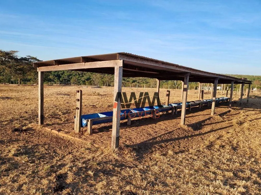 Fazenda, 125 hectares - Foto 10