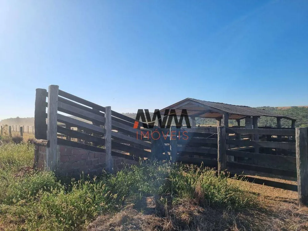 Fazenda, 125 hectares - Foto 11