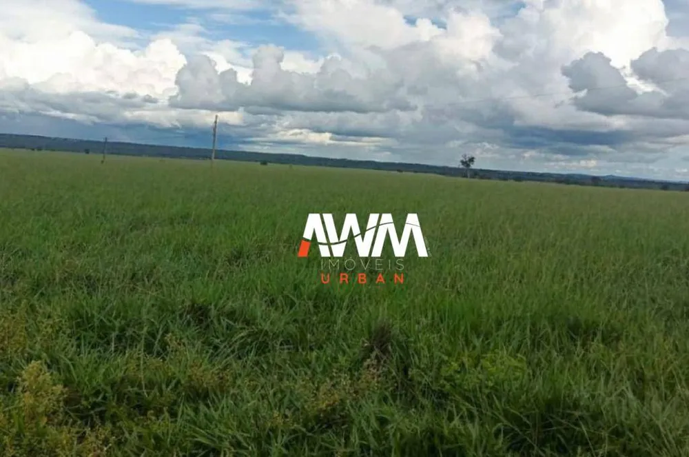 Fazenda, 1239 hectares - Foto 1