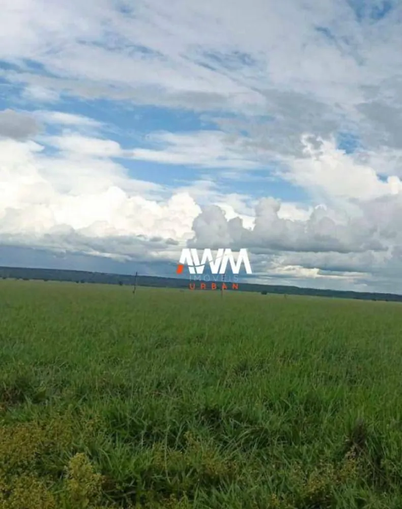 Fazenda, 1239 hectares - Foto 9