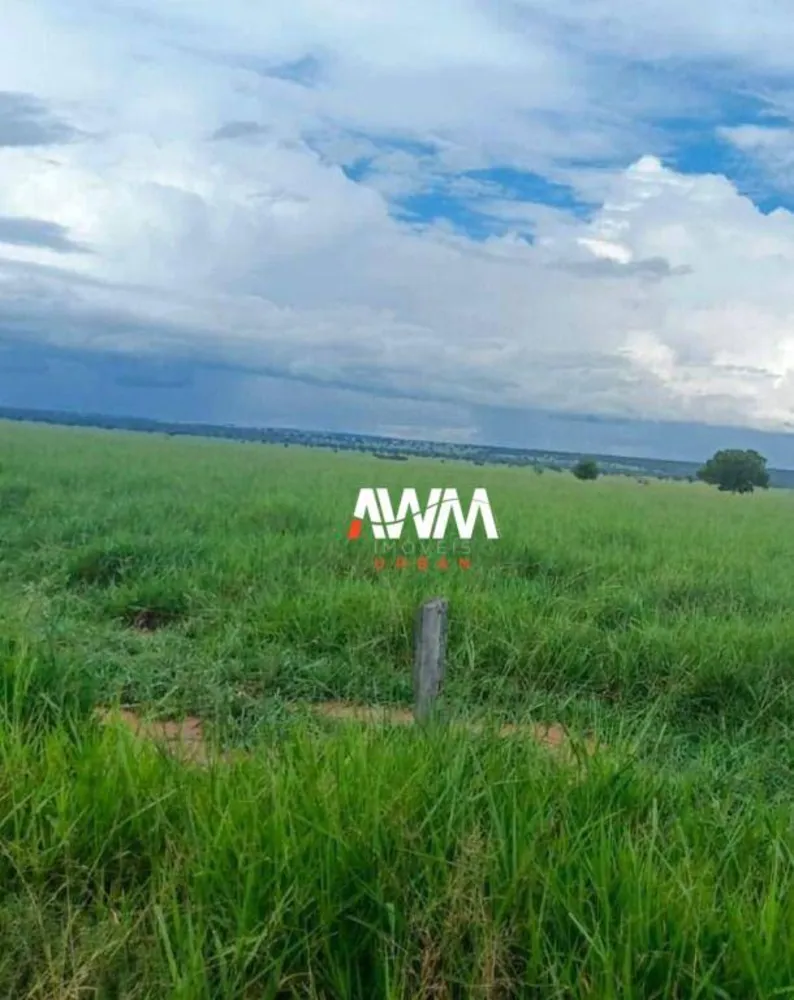 Fazenda, 1239 hectares - Foto 10