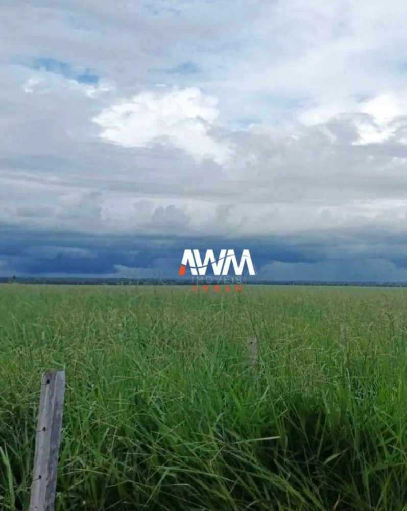 Fazenda, 1239 hectares - Foto 12