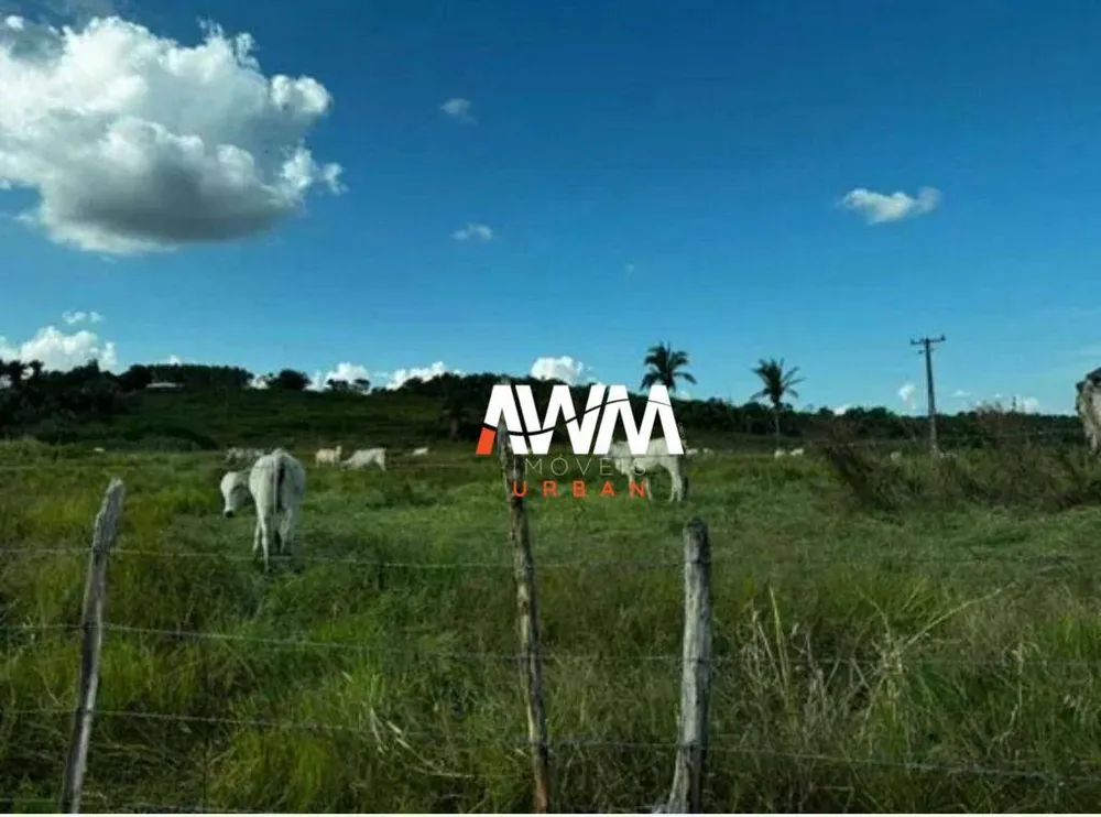 Fazenda, 400 hectares - Foto 6