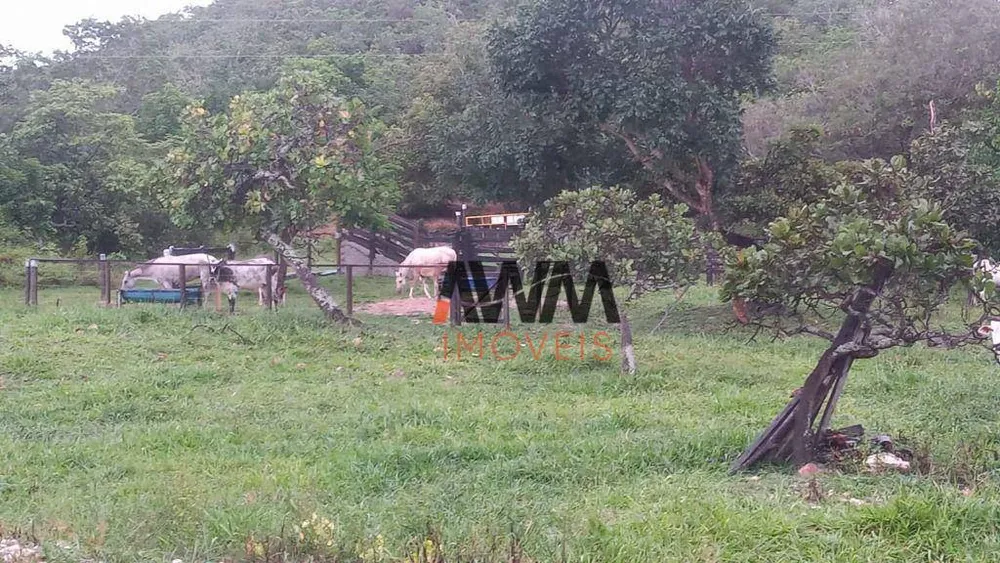 Fazenda, 77 hectares - Foto 1