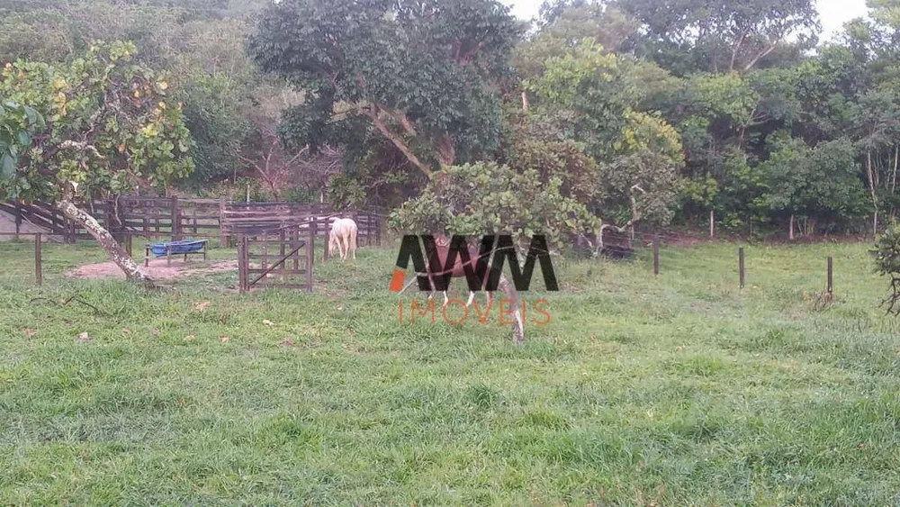 Fazenda, 77 hectares - Foto 8