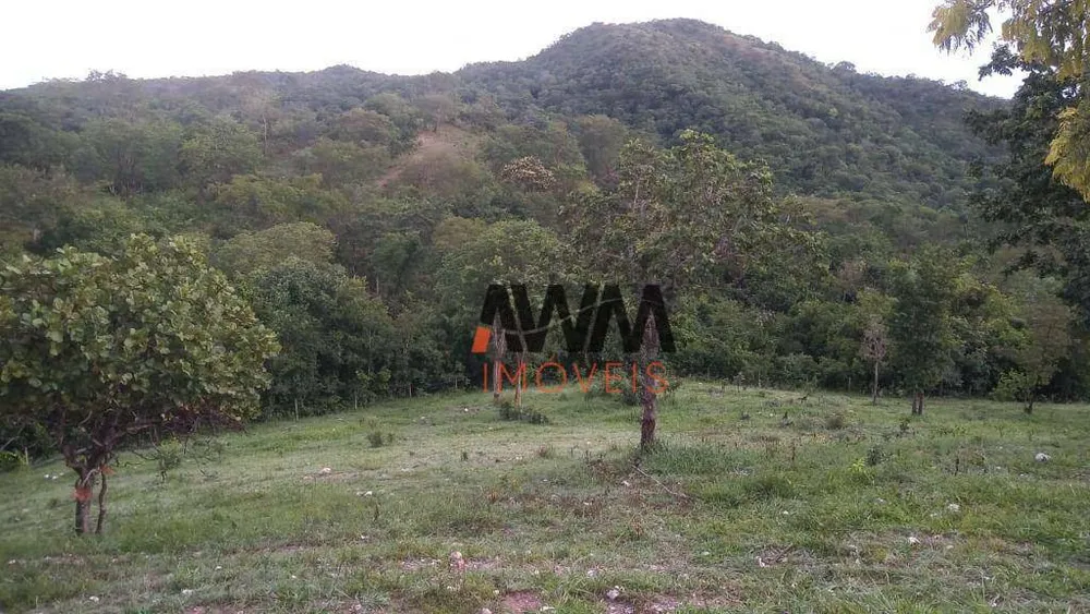 Fazenda, 77 hectares - Foto 7