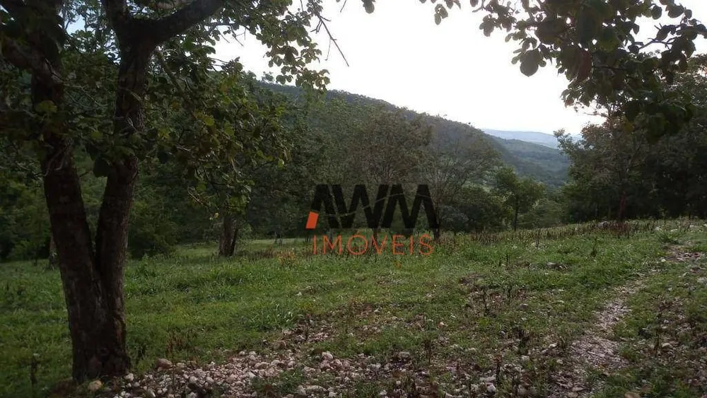Fazenda, 77 hectares - Foto 13