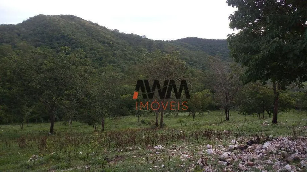 Fazenda, 77 hectares - Foto 16
