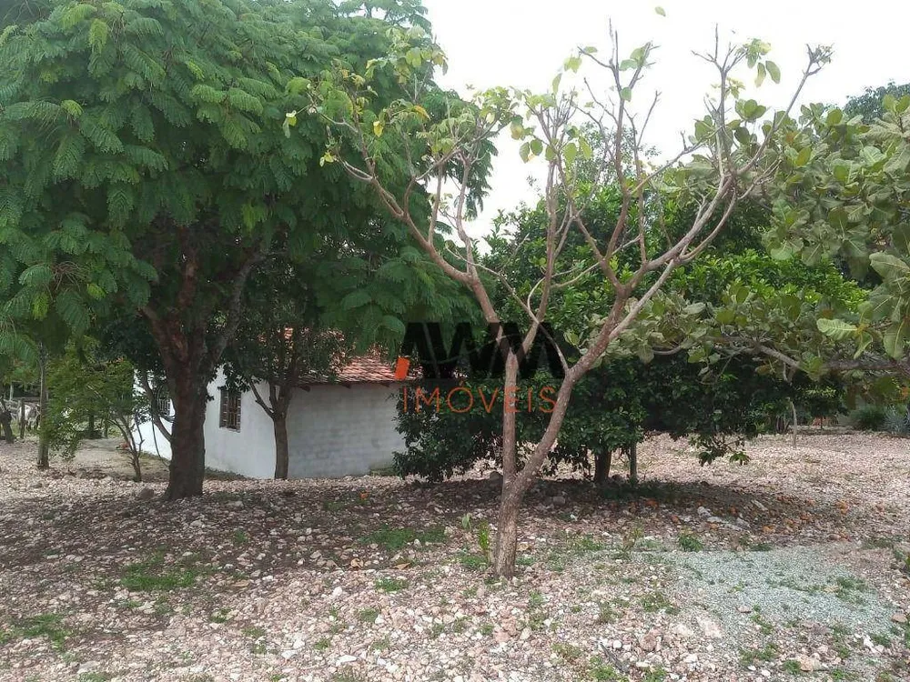 Fazenda, 77 hectares - Foto 9