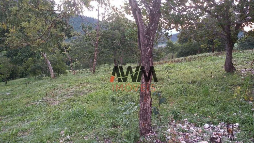 Fazenda, 77 hectares - Foto 2