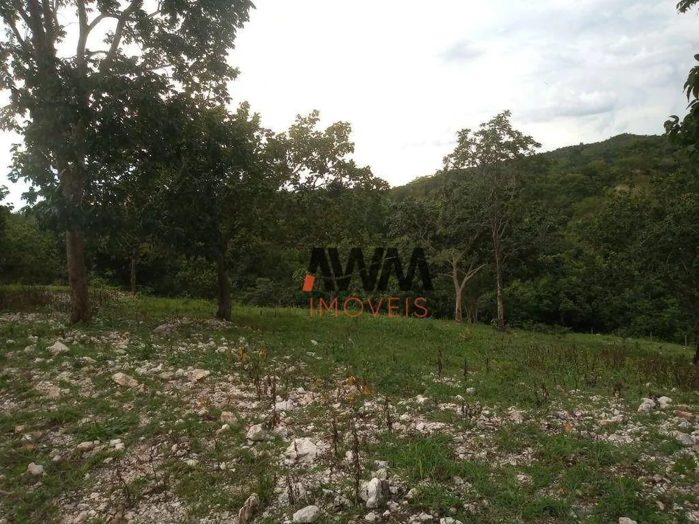 Fazenda, 77 hectares - Foto 14