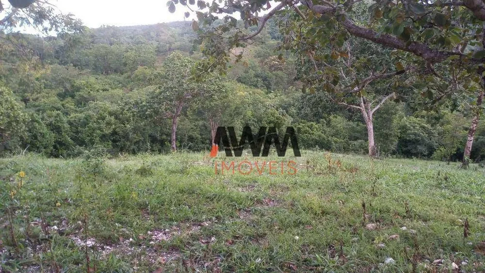 Fazenda, 77 hectares - Foto 6