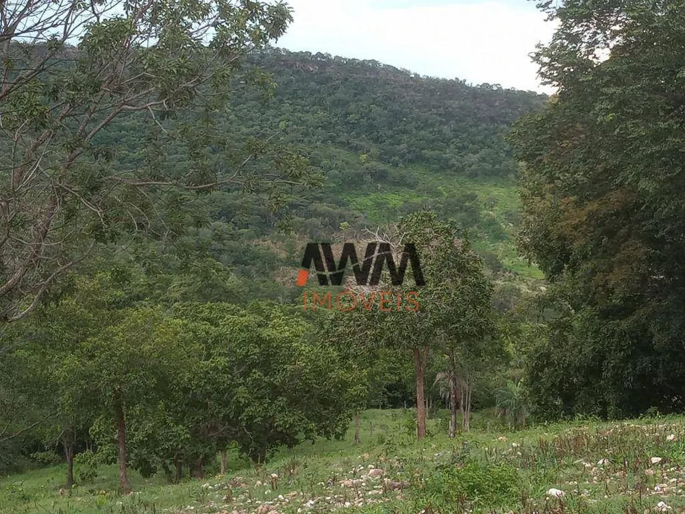 Fazenda, 77 hectares - Foto 12