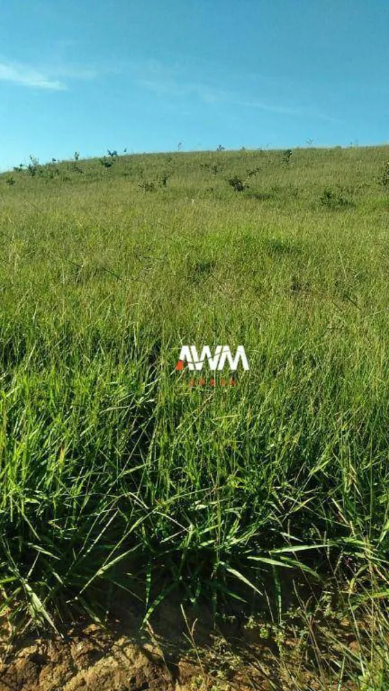 Fazenda, 454 hectares - Foto 10