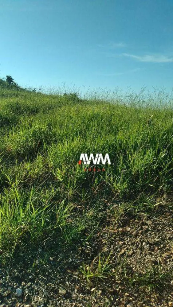 Fazenda, 454 hectares - Foto 3