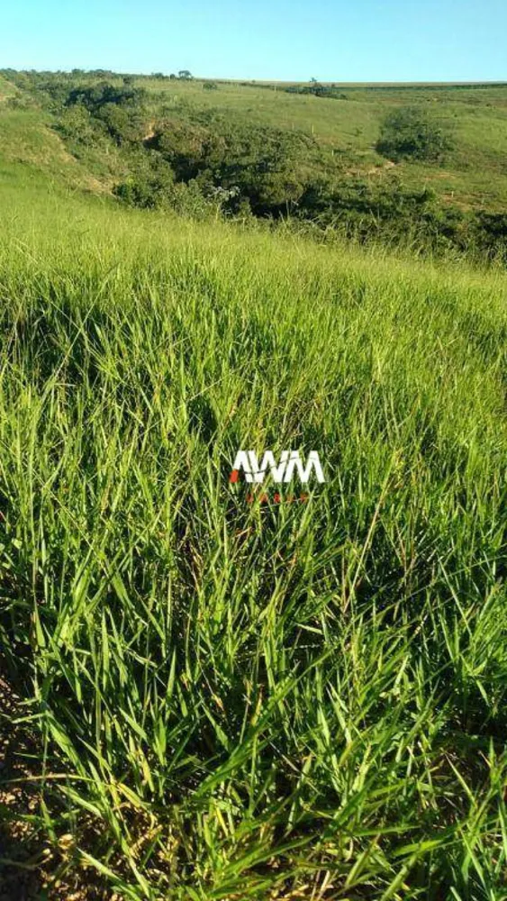 Fazenda, 454 hectares - Foto 8