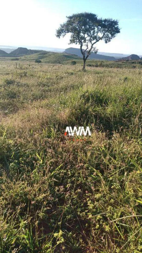 Fazenda, 454 hectares - Foto 6