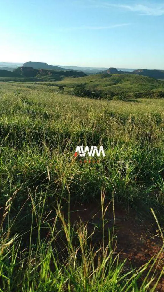 Fazenda, 454 hectares - Foto 12