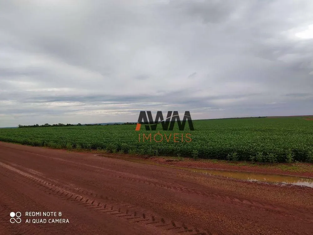 Fazenda, 4530 hectares - Foto 2
