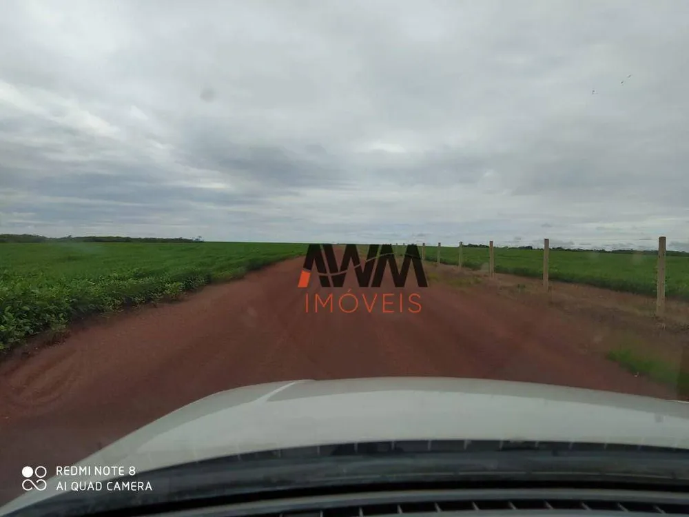 Fazenda, 4530 hectares - Foto 7
