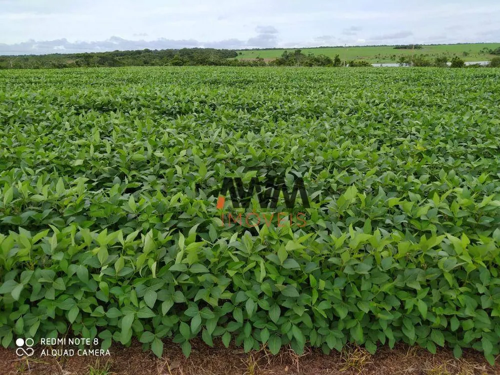 Fazenda, 4530 hectares - Foto 8