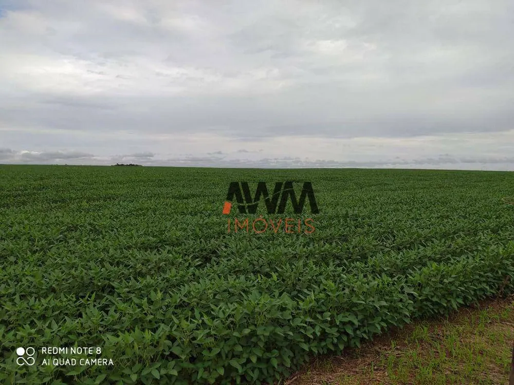 Fazenda, 4530 hectares - Foto 3