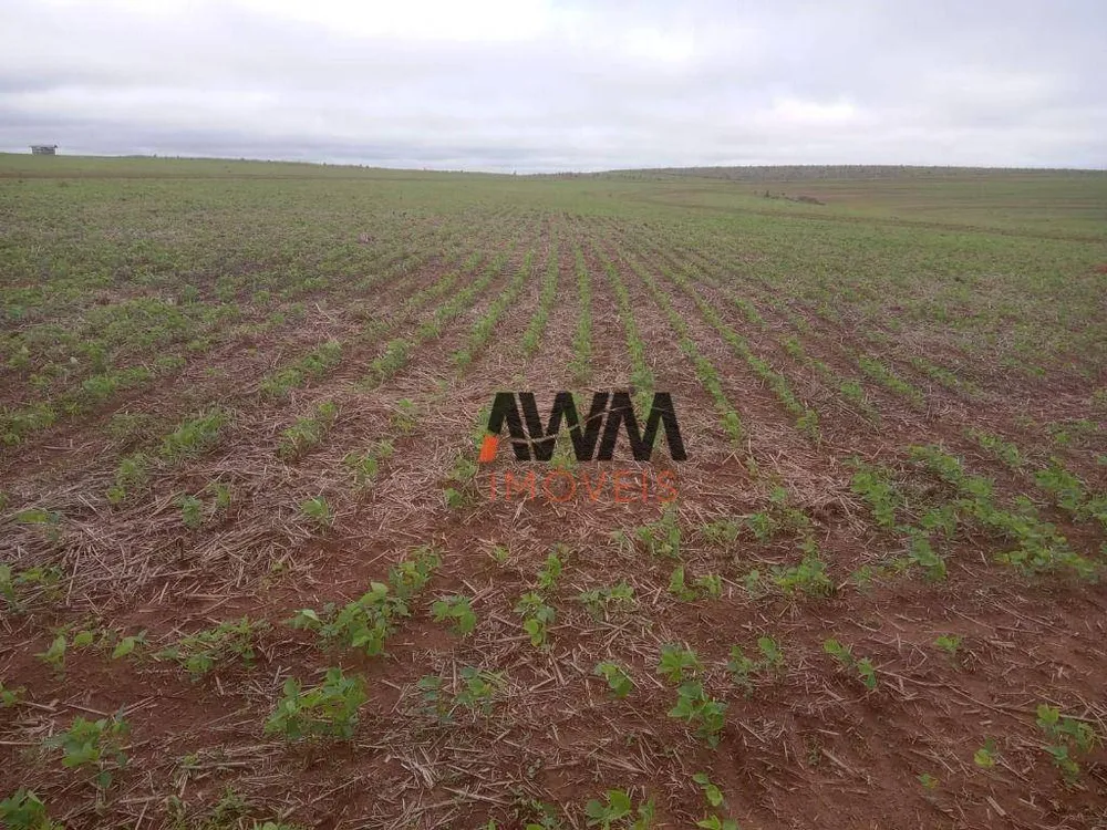 Fazenda, 7982 hectares - Foto 3