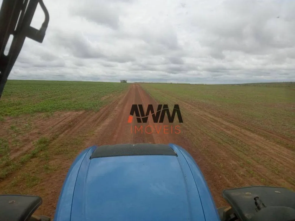 Fazenda, 7982 hectares - Foto 7