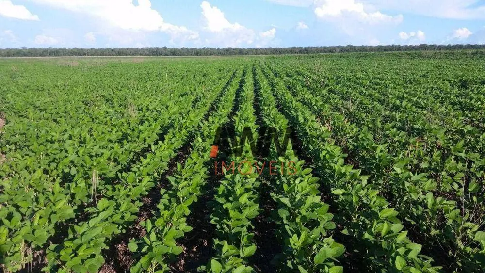 Fazenda, 7982 hectares - Foto 2