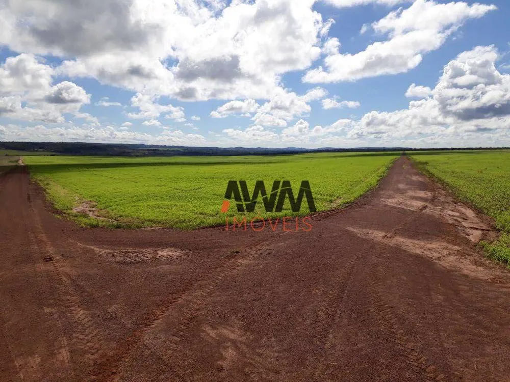 Fazenda, 7982 hectares - Foto 4