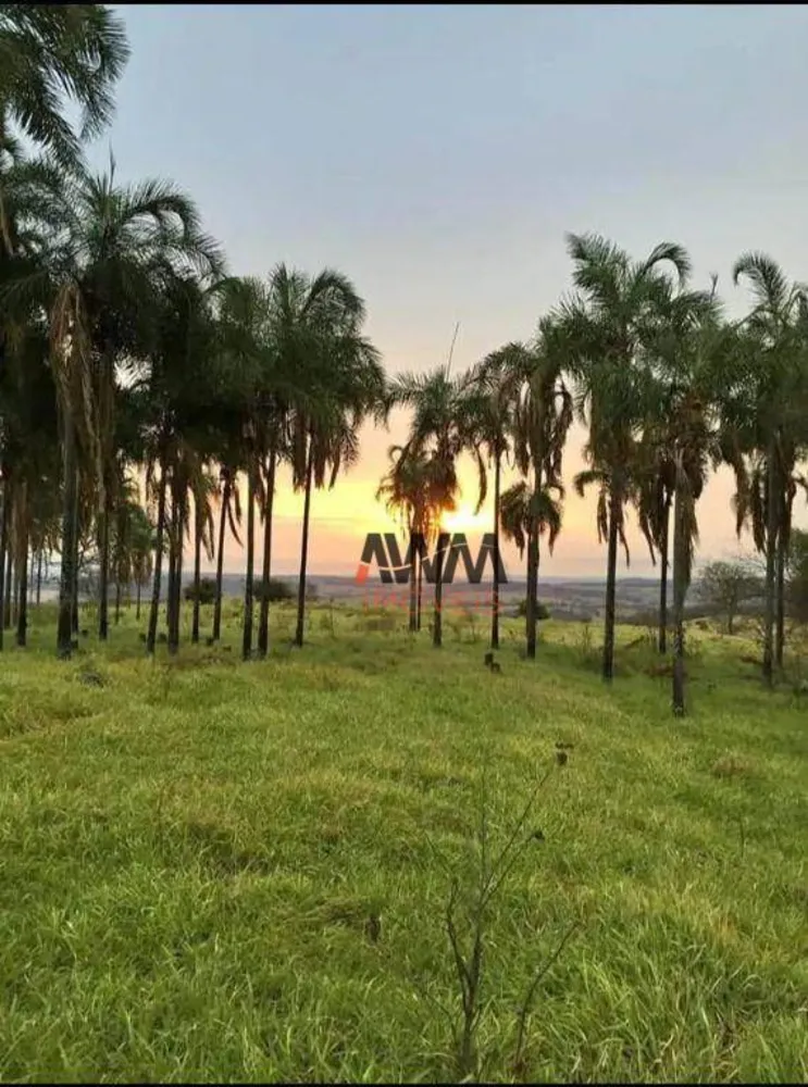 Fazenda, 80 hectares - Foto 1