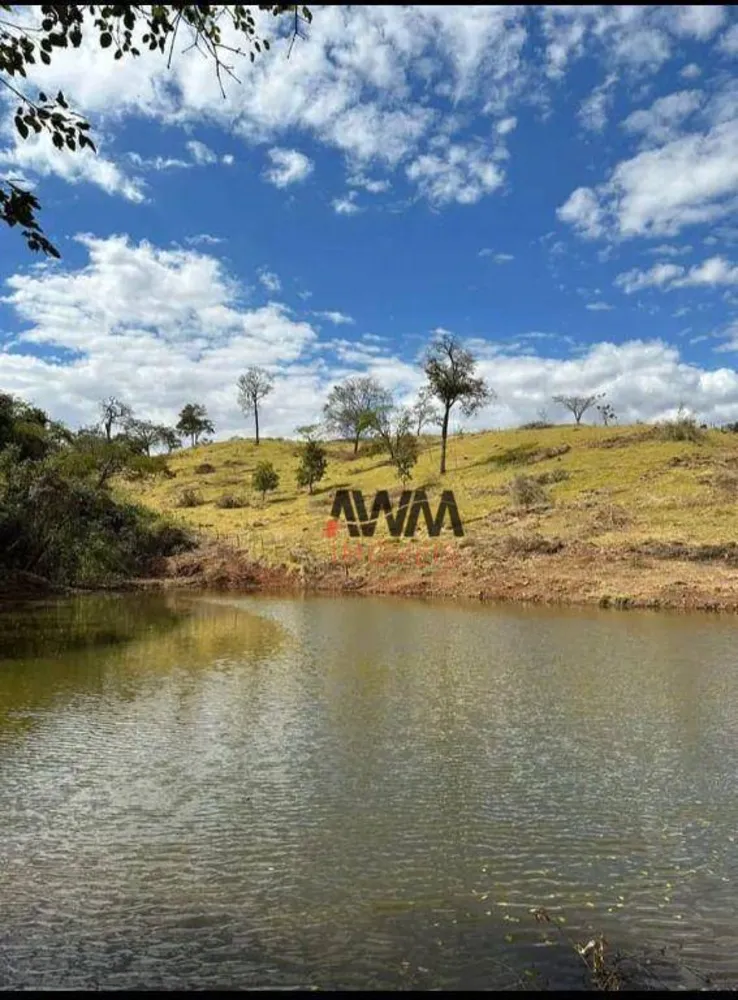 Fazenda, 80 hectares - Foto 6