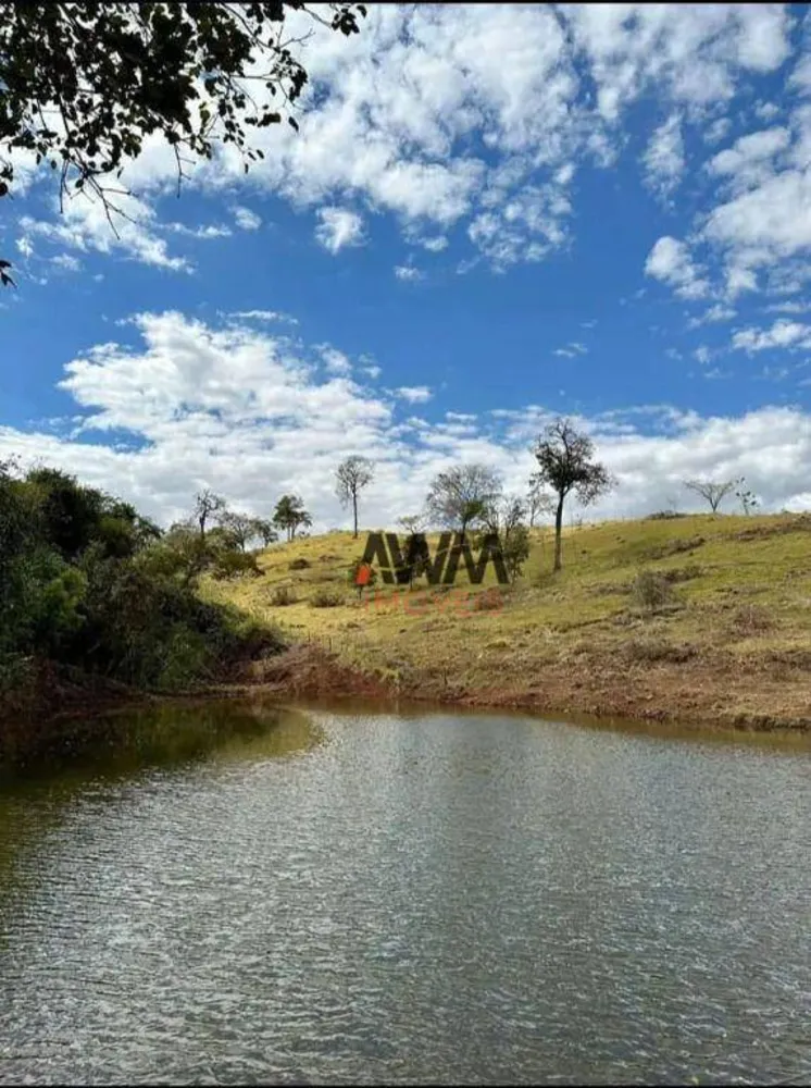 Fazenda, 80 hectares - Foto 8