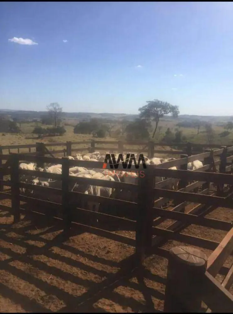 Fazenda, 80 hectares - Foto 4
