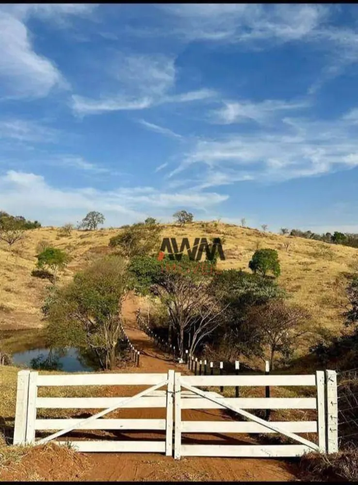 Fazenda, 80 hectares - Foto 14
