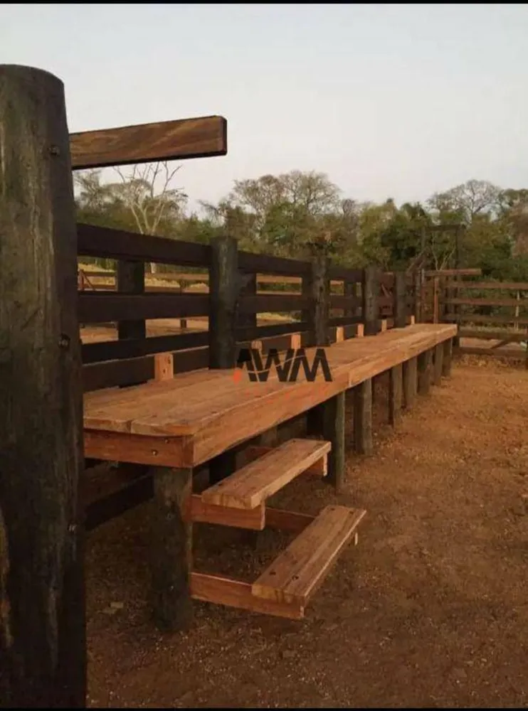 Fazenda, 80 hectares - Foto 11