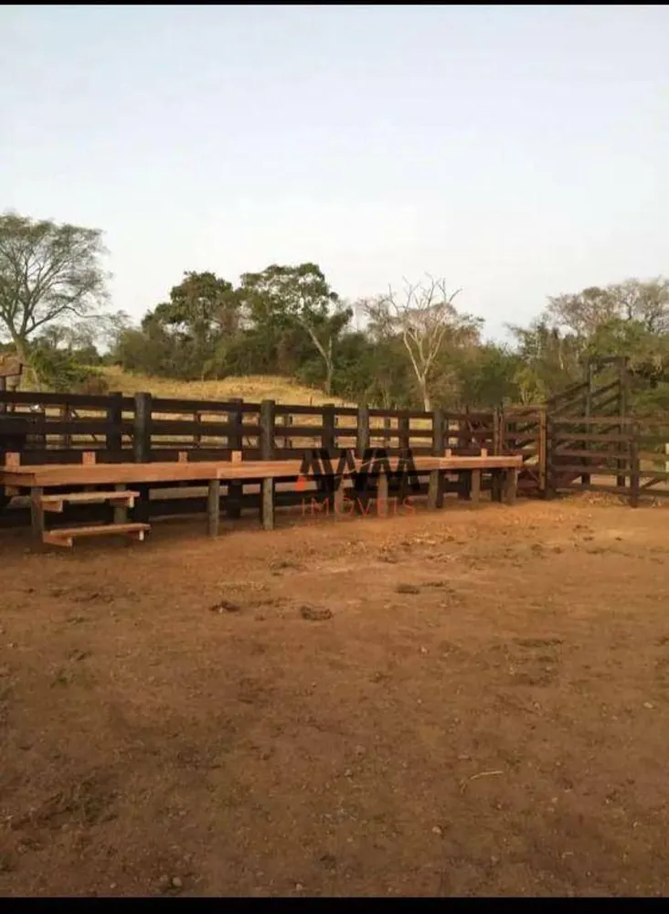 Fazenda, 80 hectares - Foto 5