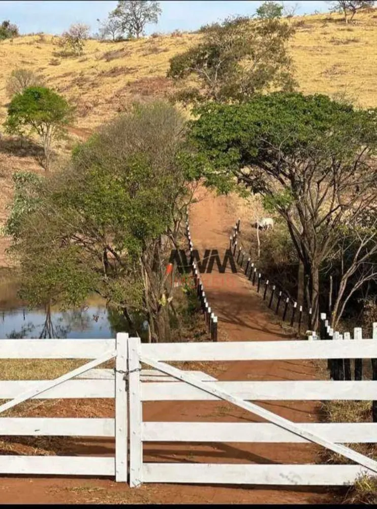 Fazenda, 80 hectares - Foto 2