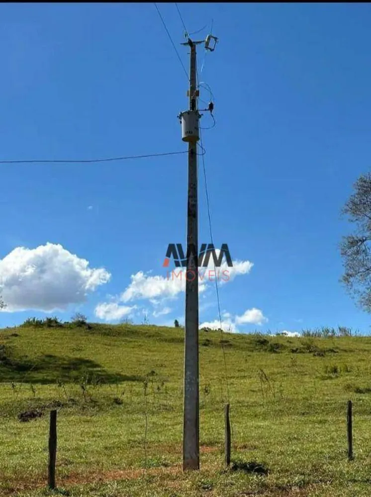 Fazenda, 80 hectares - Foto 15