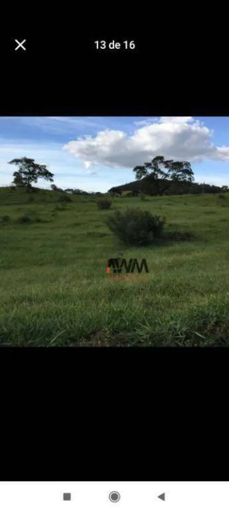 Fazenda, 80 hectares - Foto 12
