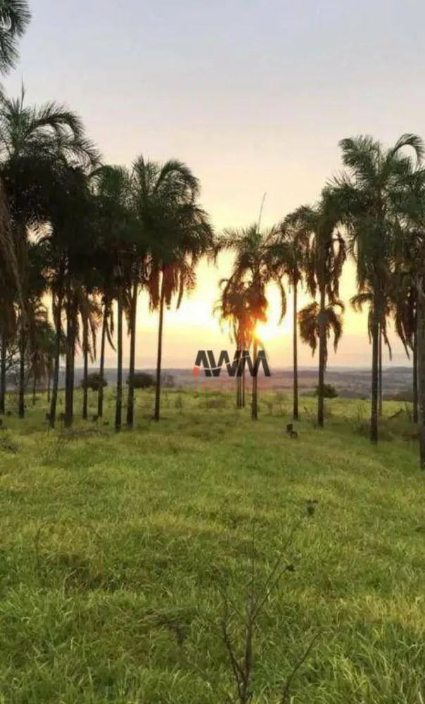 Fazenda, 80 hectares - Foto 16