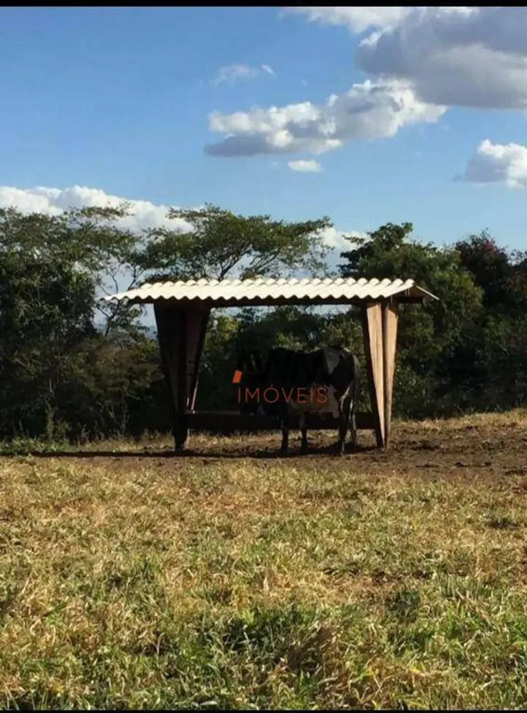 Fazenda, 80 hectares - Foto 13